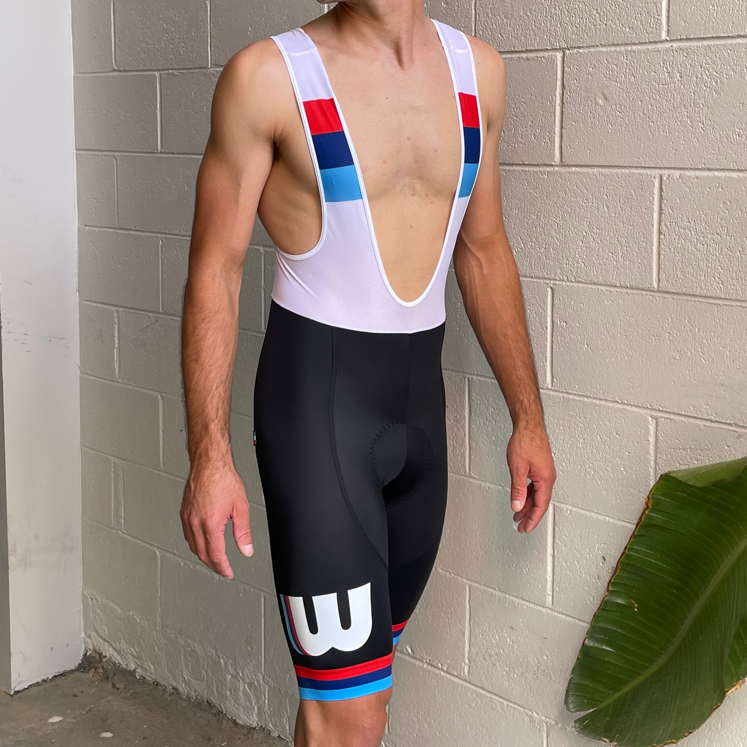 Wheelhaus Bib Shorts - Racing Stripes